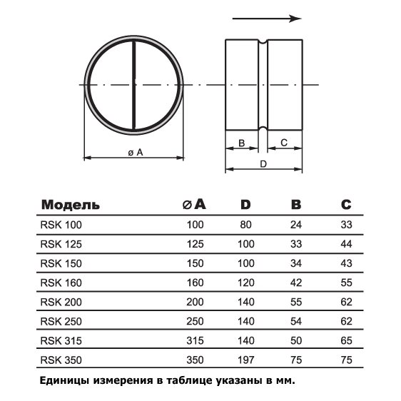 RSK-125 клапан обратный (RU)